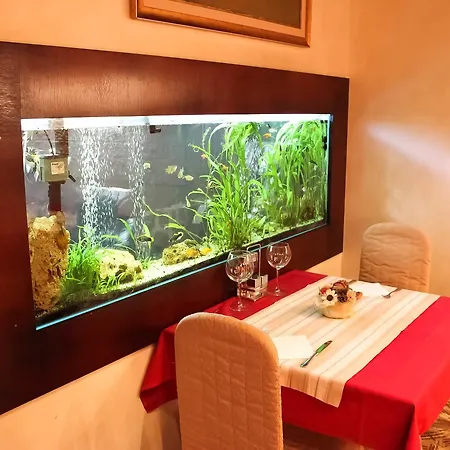 Klub Satelit Bed & Breakfast Zlatibor