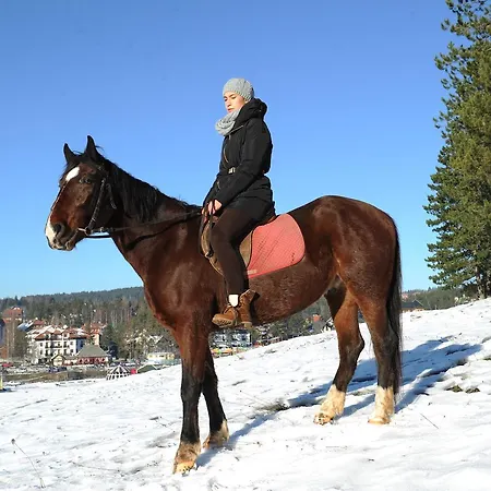 Klub Satelit Bed & Breakfast Zlatibor